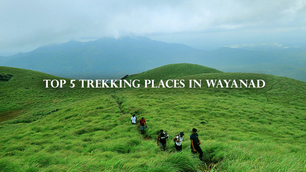 Top 5 places for trek in Wayanad