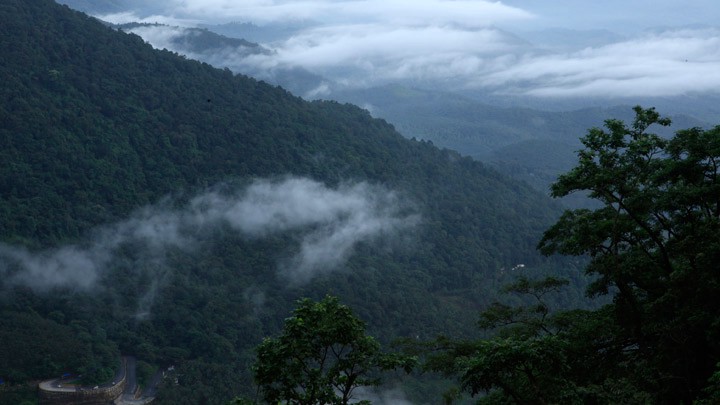Place to visit in Wayanad
