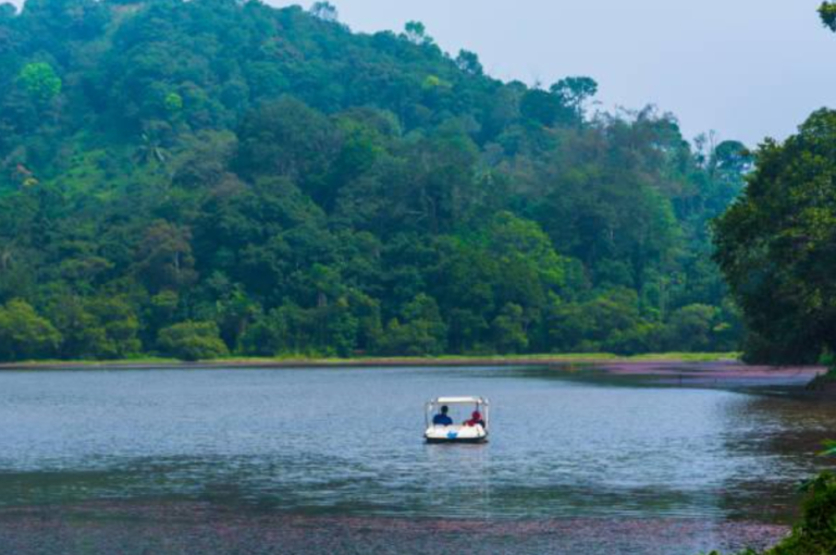 The Best Way to Experience Wayanad: A Guide to Staying at Le Villagio Resort